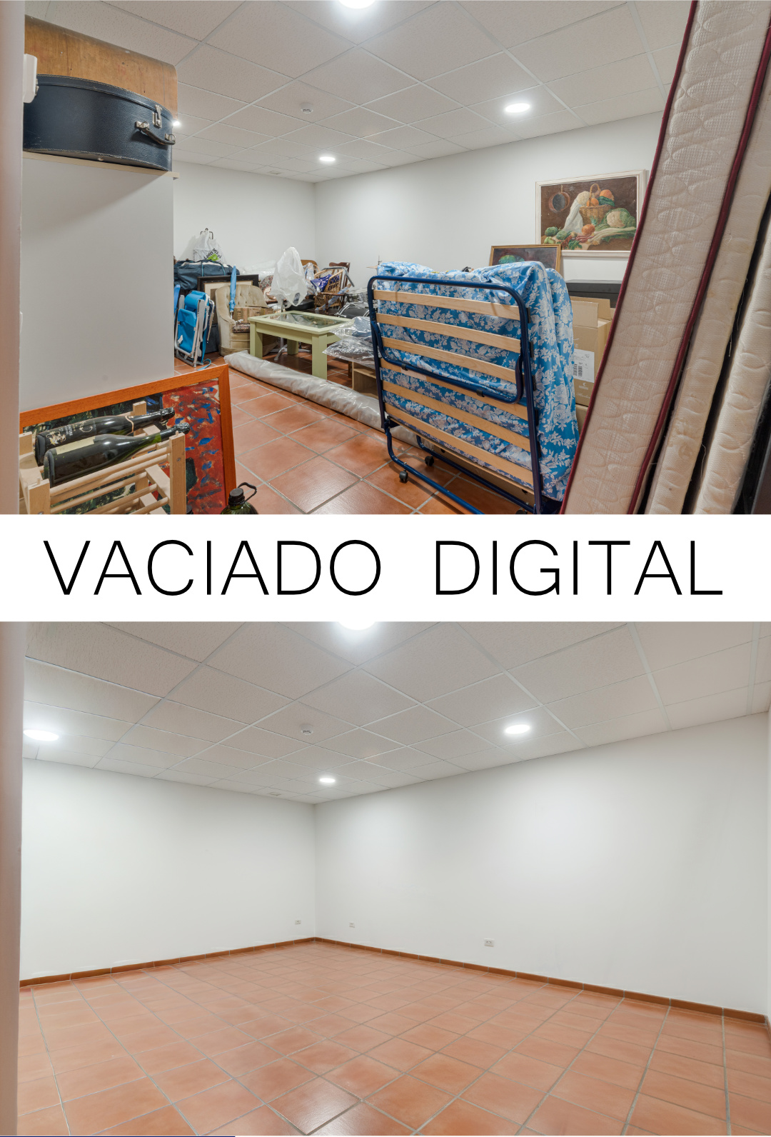 VACIADO DIGITAL